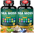 Bualle Organic Sea Moss Capsules with Sea Moss,Black Seed Oil,Ashwagandha,Bladderwrack,Ginger,Burdock Root for Immune System,Skin,Energy Support-120 Capsules (2 Pack)