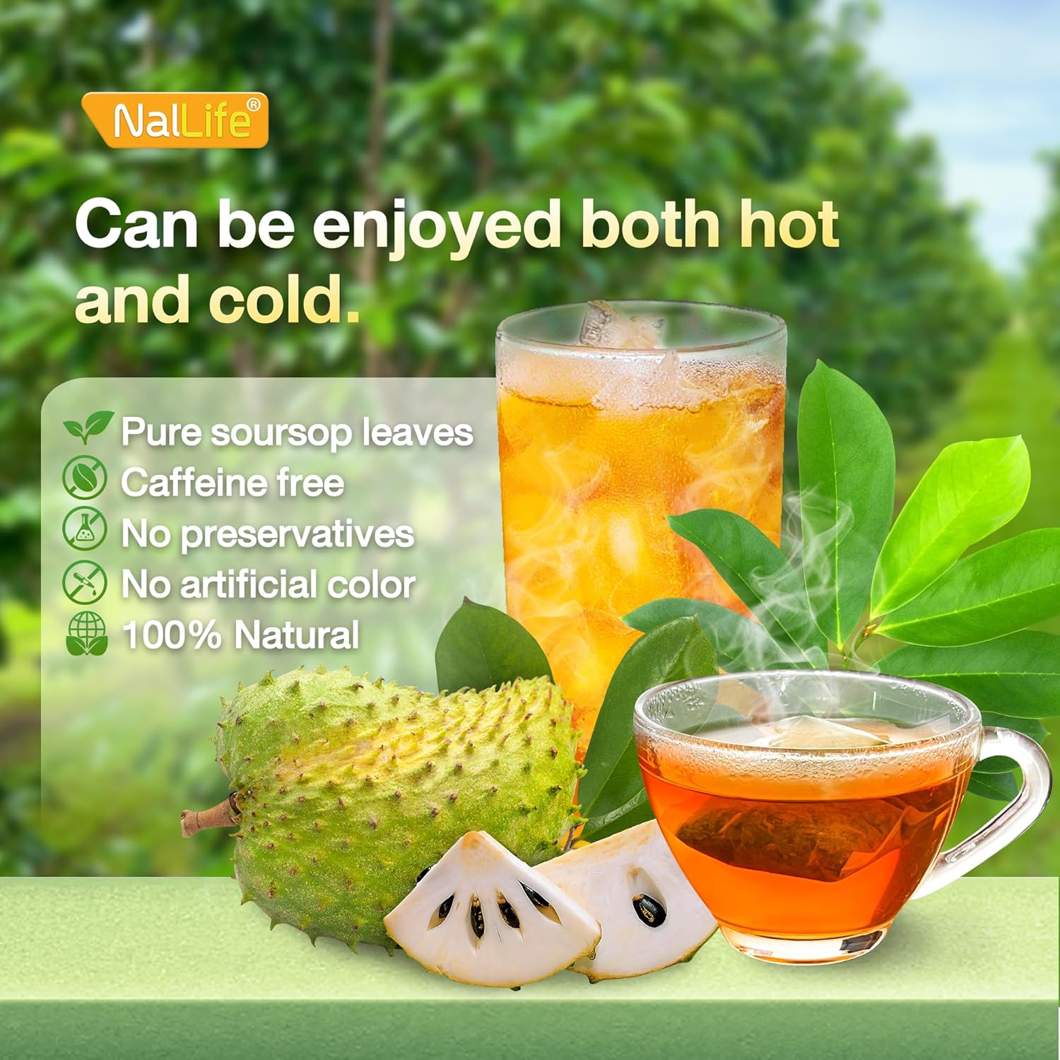 NalLife Soursop Leaves Tea pack of 30 Tea Bags