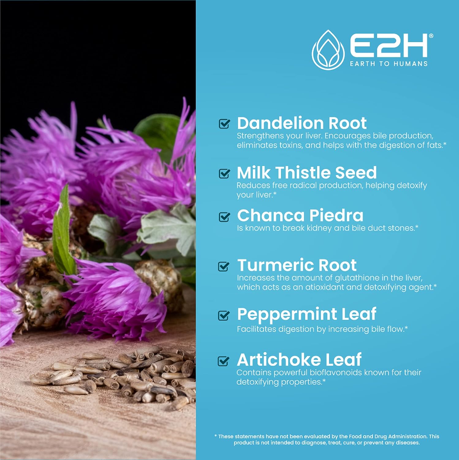 E2H Liver Support Supplement with Milk Thistle - Liver Health Formula - Artichoke Extract, Dandelion Root, Chanca Piedra, and More - Absorbent Liquid Formula (2 Bottles)