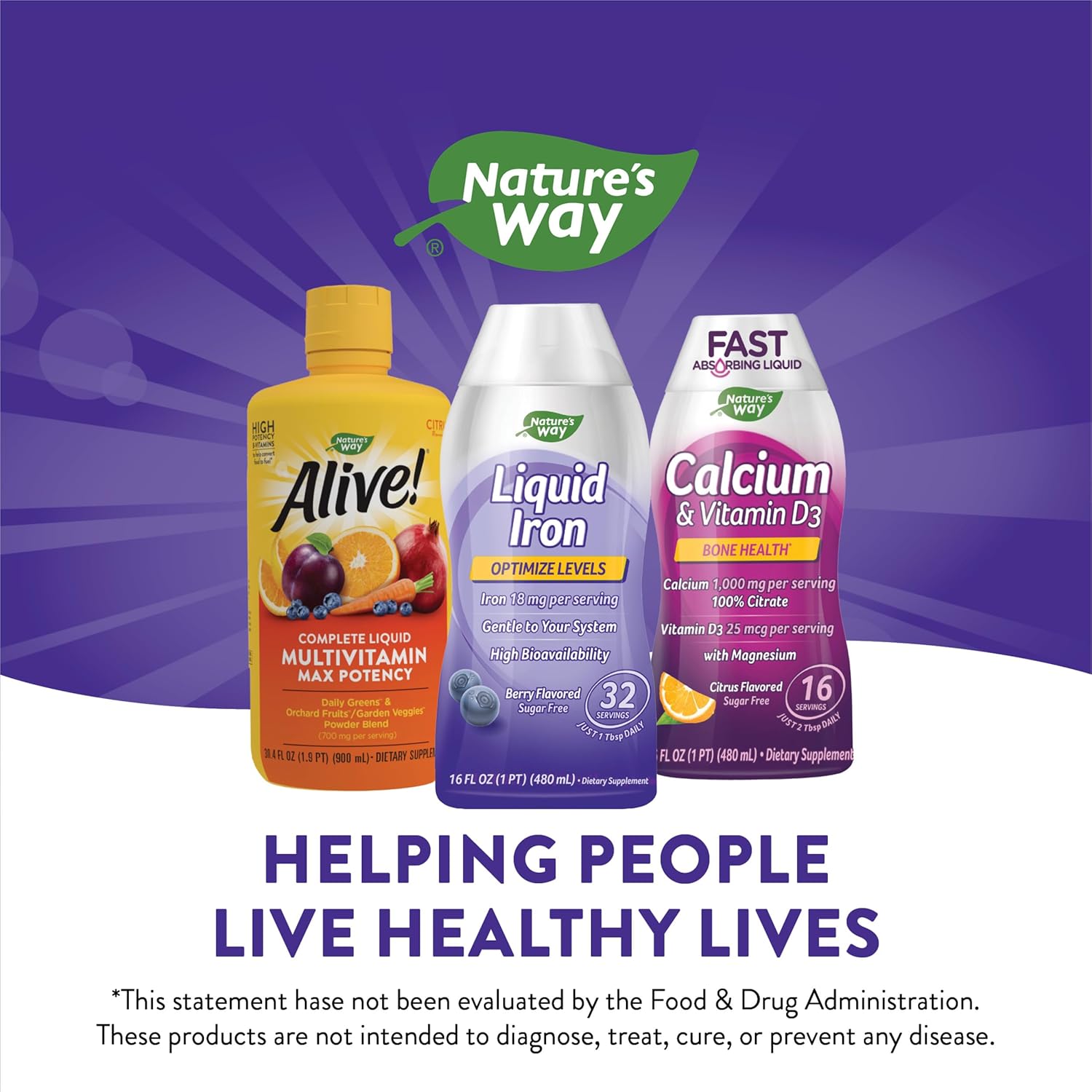 Nature's Way Liquid Iron, Provides Daily Value of Iron, Sugar Free, Berry Flavored, 16 Fl. Oz. (Pack of 2)