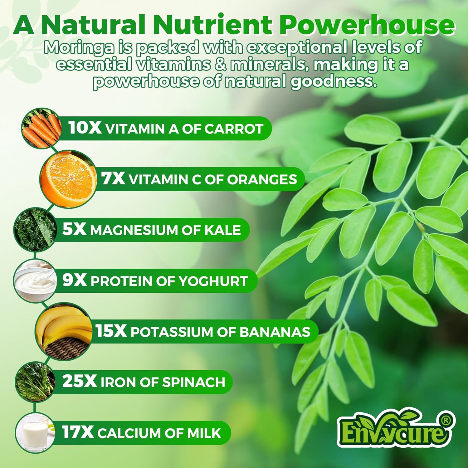 Moringa Spirulina Gummies Organic, Rich in Antioxidants, Essential Vitamins & Amino Acids, Pure Moringa Oleifera Leaves with Wheatgrass & Chlorella for Energy & Immunity, Green Superfood, 120 Cts