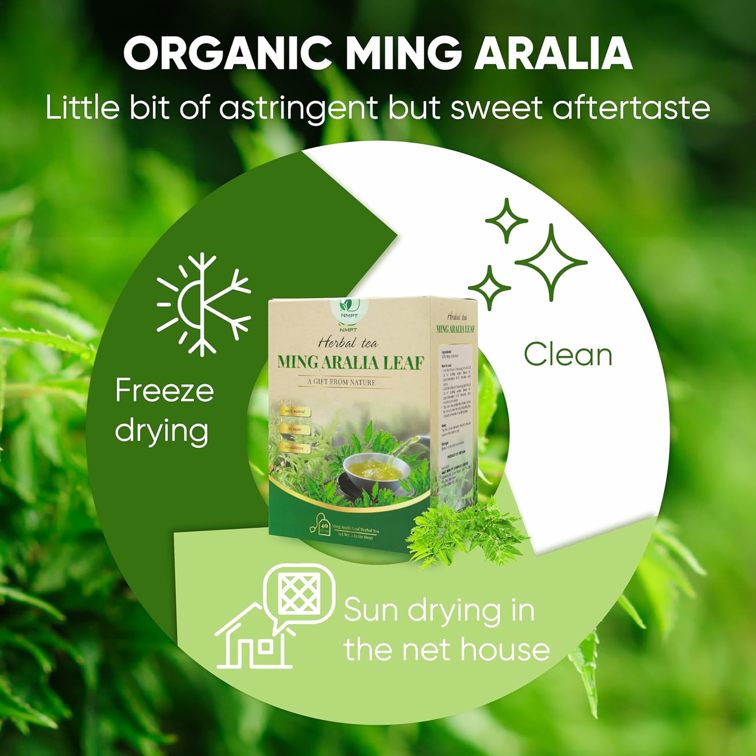 NMPT Ming Aralia Leaf Tea, 100% Hand Pick, Organic Dinh Lang Herbal Tea, 40 Count, Freeze Drying, Gluten Free, Dairy Free, No Sugar Added, Energy Boost & Health Support, 0.07 Oz Each