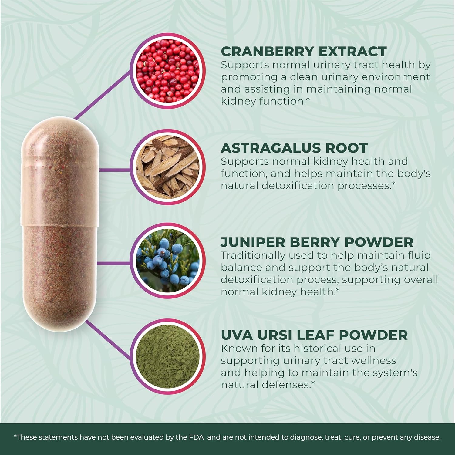 PurePremium Supplements - Kidney Support with Cranberry Extract & Astragalus - Kidney Health Supplement for Urinary Tract, Bladder, Cleanse, Detox & Repair - 60 Cranberry Pills Women and Men