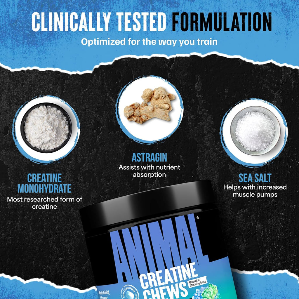 Animal Creatine Chews – Enhanced Creatine Monohydrate Chewable Tablets with AstraGin & Sea Salt, Max Absorption Pre Post-Workout, Lean Muscle Growth, Strength & Recovery, New Flavor Candy Crush’d