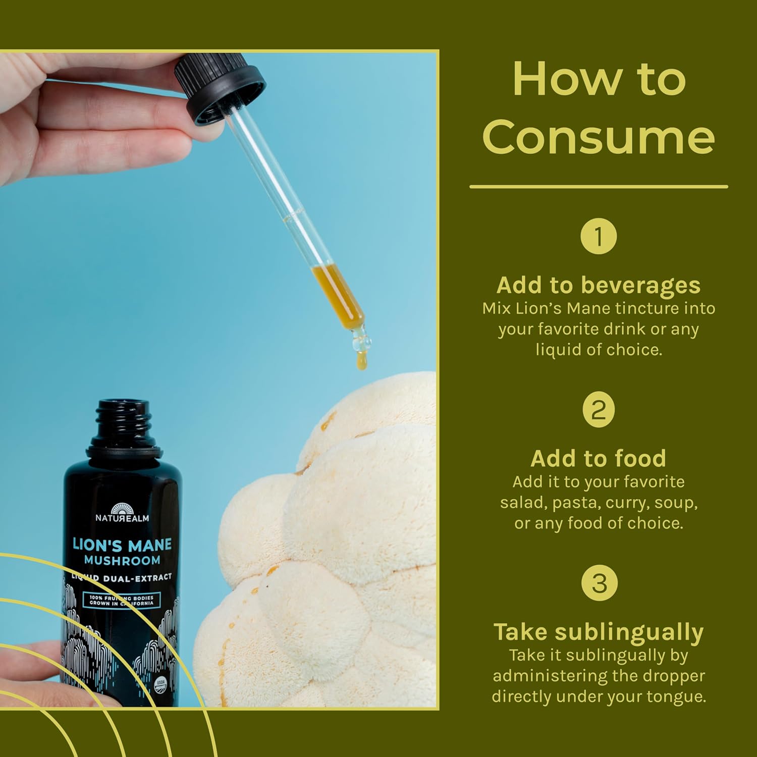 Naturealm Lion’s Mane Mushroom Liquid Tincture Supplement – Focus, Memory & Brain Health, Vegan, Non-GMO – Organic Fruiting Bodies, 1 Month Supply
