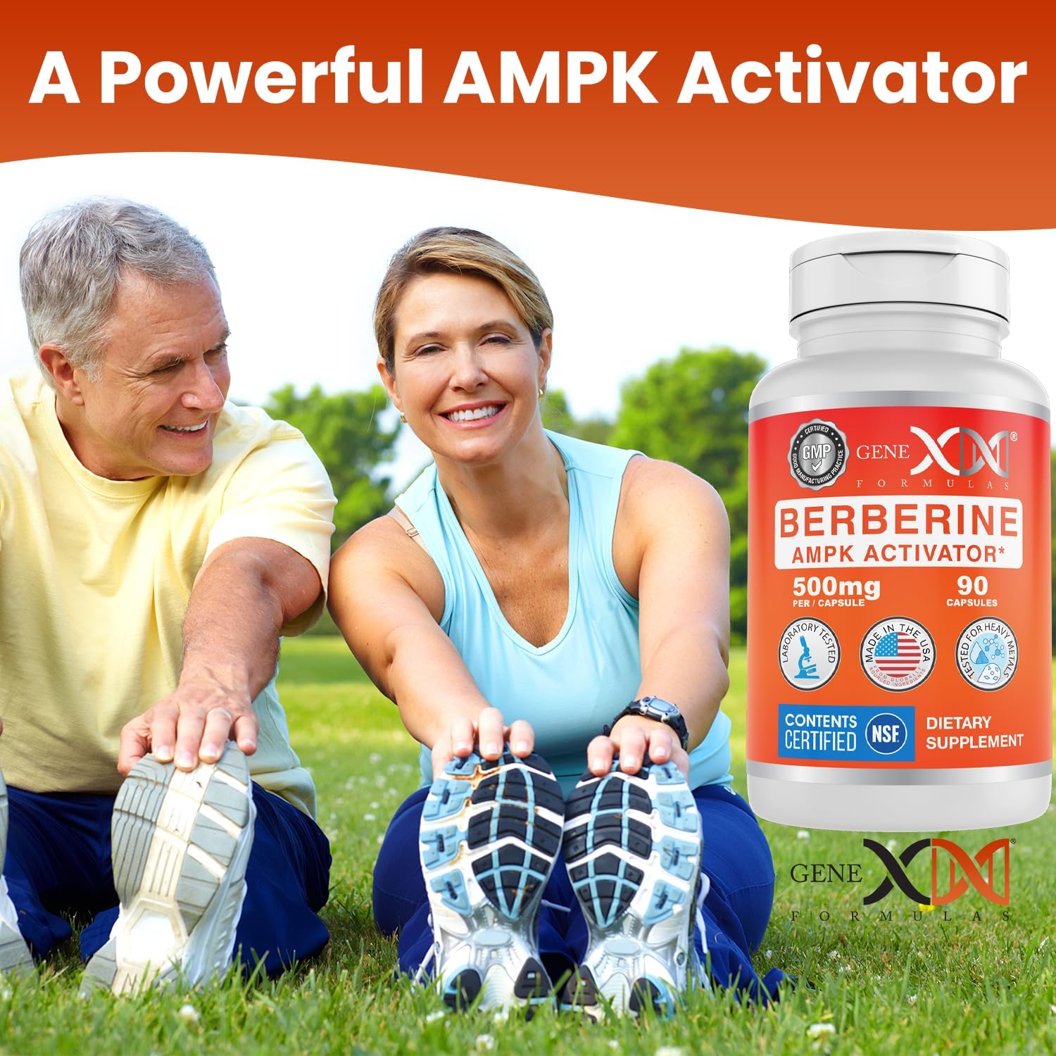 Genex Formulas Berberine HCl 500mg (90 Capsules) - NSF Certified for Safety, Quality & Label Accuracy - Supports Immune Health - Non-GMO, Gluten Free, Vegetarian