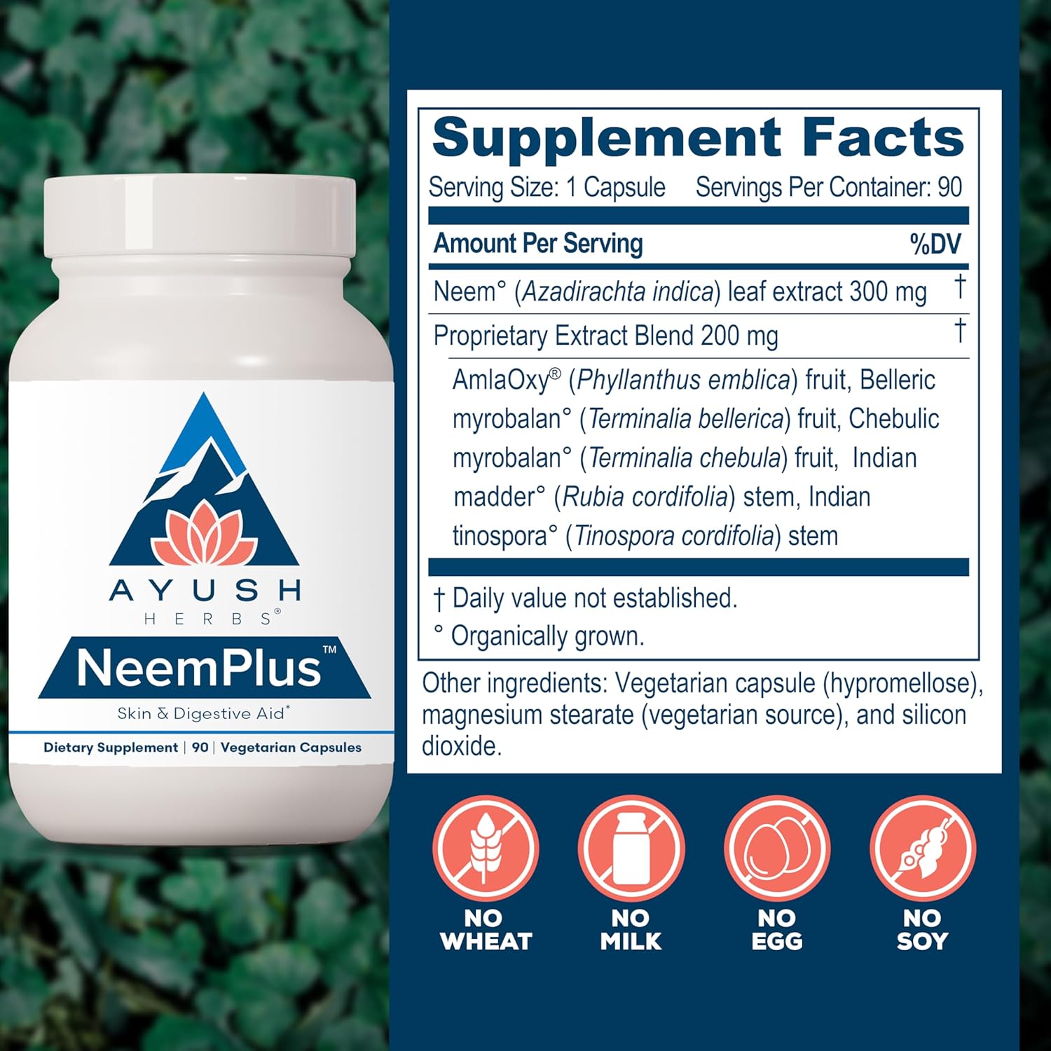 Ayush Herbs Neem Plus - Digestive Health for Women & Men, Gut Support Supplement for Stomach & Skin Health, Immune Support - 90 Vegetarian Capsules (1 Count)