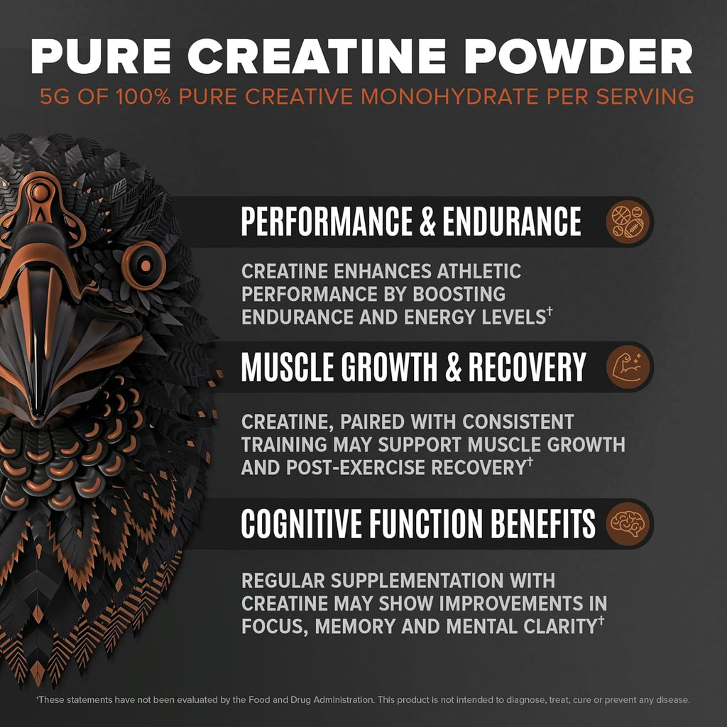 Falcon Performance Vegan Protein Powder, 31g Protein, 5g Creatine, 5g BCAA, Probiotics, Electrolytes, Pre Workout, Low Carb, Sugar Free & Dairy Free, Plant Based Chocolate Protein, 28 servings