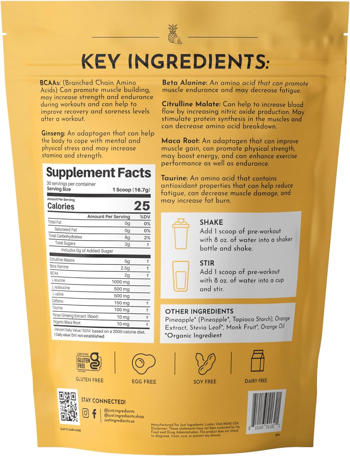 JUST INGREDIENTS Pre-Workout – Orange Pineapple| 30 Servings, BCAA Blend, Beta Alanine, Citrulline Malate, Ginseng, Maca Root, Taurine| Supports Energy, Focus & Endurance