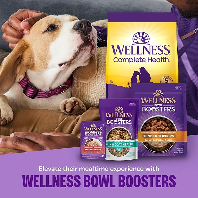 Wellness Complete Health Dry Dog Food, Wholesome Grains, Natural, Whitefish & Sweet Potato Recipe, (30-Pound Bag)
