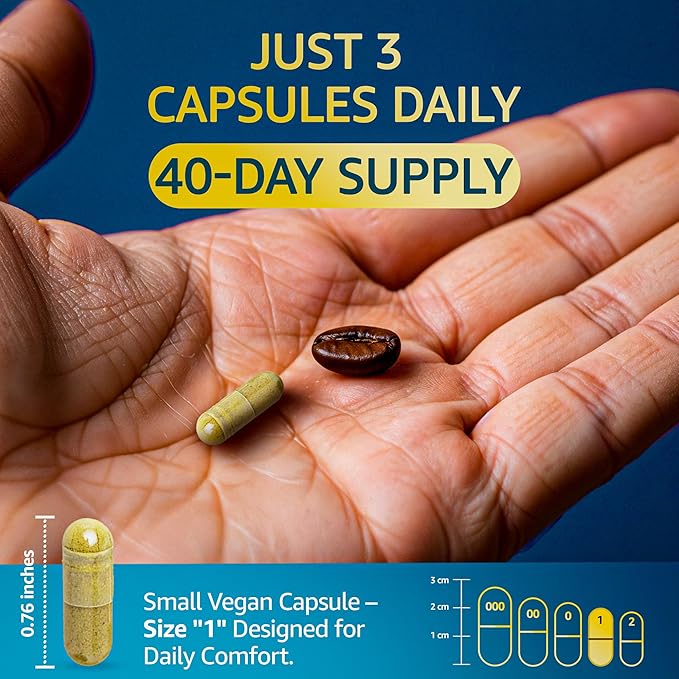 Organic Lions Mane Supplement Capsules - 360 Real Mushrooms Lion's Mane Capsules with Ginkgo Biloba Herb, Bacopa Monnieri, L Theanine, L Tyrosine - Mushroom Complex for Daily Wellness