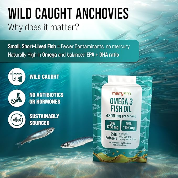 Omega 3 Fish Oil 4800 mg – EPA 1728 mg | DHA 1152 mg from Wild-Caught Anchovies – Burpless Mini Softgels – Pure Omega-3 Fatty Acid Supplement – Non-GMO, Gluten-Free, No Aftertaste – 240 Capsules