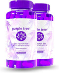 purple tree Post-Celebration Wellness Supplement for After-Drink Support | Hydration & Liver Health | Dihydromyricetin DHM, Milk Thistle, Electrolytes, Vitamin B, Willow Bark, Quercetin (180 Pills)