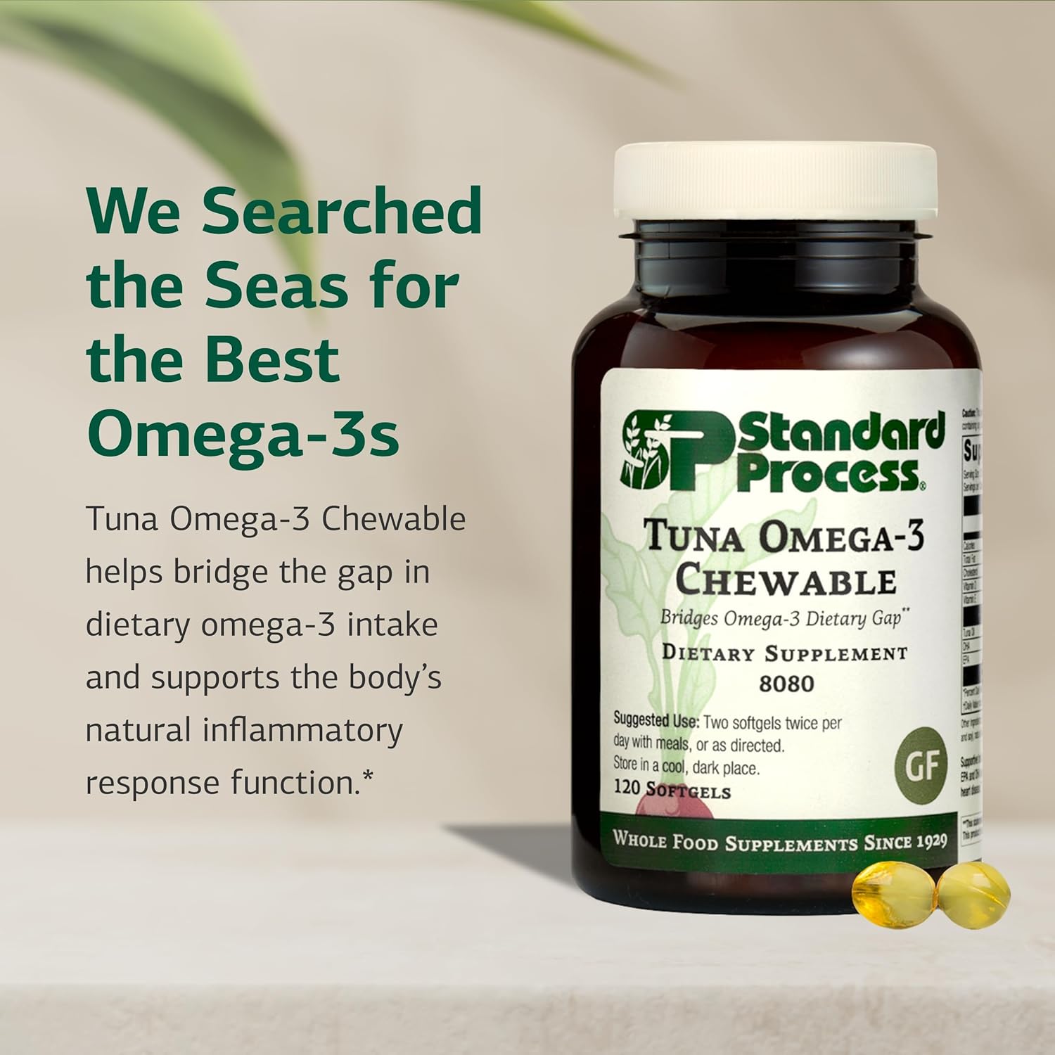 Standard Process Tuna Omega-3 Chewable - Fish Oil Supplement with DHA - Omega-3 Supplement to Support Brain & Eye Health - Excellent Source of Antioxidants - Gluten-Free & Non-Dairy - 120 Softgels