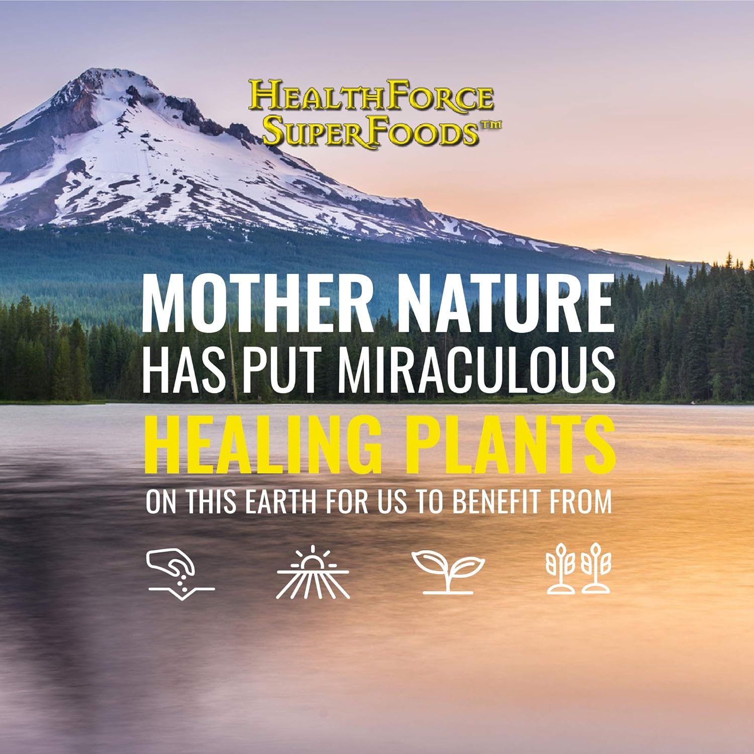 HealthForce SuperFoods Liver Rescue - Natural Liver Cleanse - with Milk Thistle & Dandelion Root - Gluten-Free & Vegan - 120 Capsules