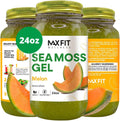 Sea Moss Gel Melon Wild-Harvested 24oz Wildсrafted Gold Sea Moss Gel from Saint Lucia | 92 Vitamins and Minerals | Vegan Superfood