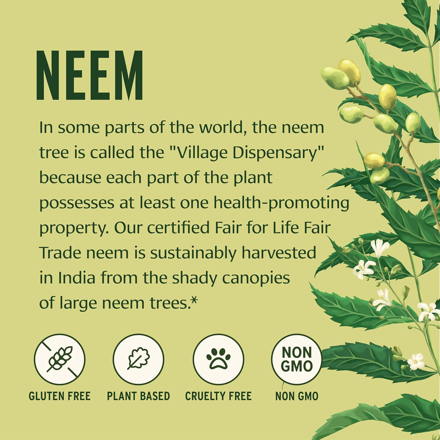 Banyan Botanicals Neem Tablets – Organic Neem Leaf (Azadirachta Indica) – Supports Natural Detoxification, Healthy Skin, and Immune Health* – 90 Tablets – Non-GMO Sustainably Sourced Vegan