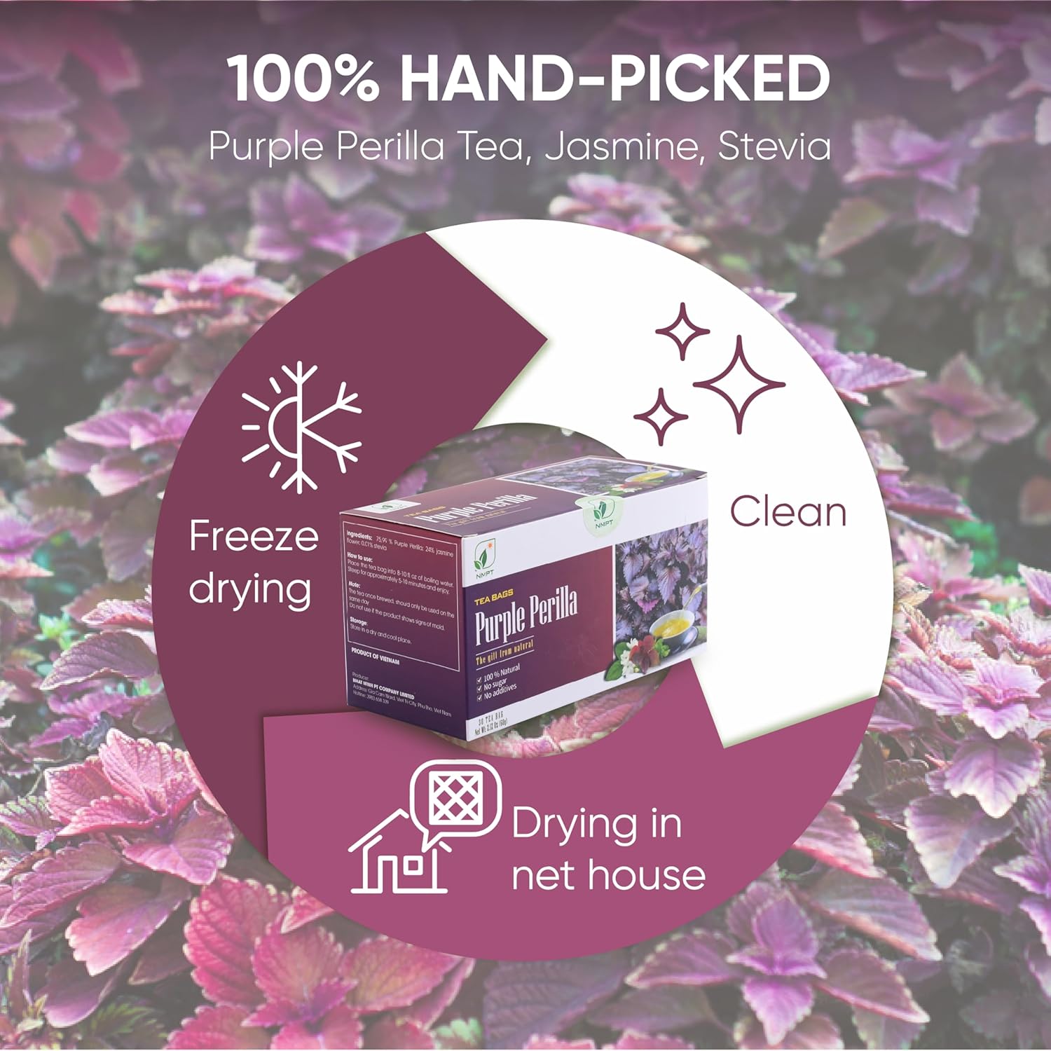 NMPT Dried Perilla Tea, Jasmine, Stevia, Hand Pick, Mixed Bags, Organic Herbal Tea, 30 Count, Gluten Free, Dairy Free, Sugar Free & 100% Natural, Energy Boost & Health Support