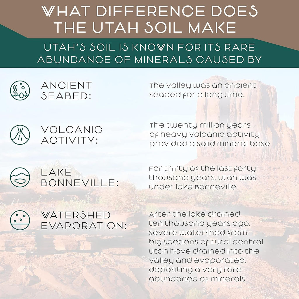 Organic Barley Grass Juice Powder- Grown and Harvested in The Fertile Utah Soil - 16 Ounces (454 Grams)