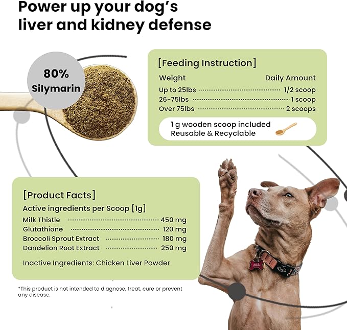 Pawpulse Formula Milk Thistle for Dogs – Liver & Kidney Support Powder with Silymarin & Glutathione – Daily Detox, Antioxidant & Metabolic Natural Support, 2.12 oz