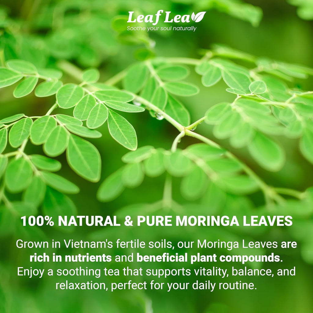 LeafLea 80 Moringa Tea Bags, Made from Natural Moringa Leaves, Caffeine-Free Herbal Tea, Sugar-Free, Individually Wrapped for Fresh Flavor (Pack of 2)