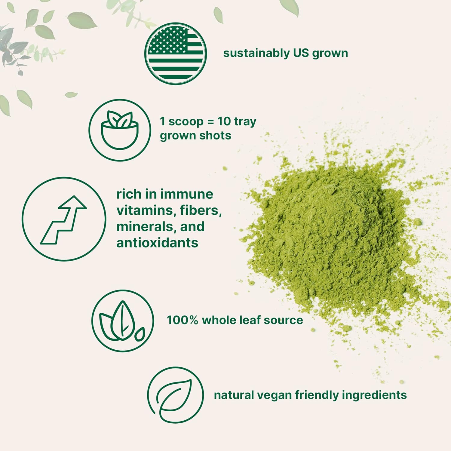 Micro Ingredients Sustainably US Grown, Organic Wheat Grass Powder (100% Whole-Leaf), 16 Ounce, Rich in Immune Vitamins, Fibers and Minerals, Support Digestion Function, Vegan Friendly