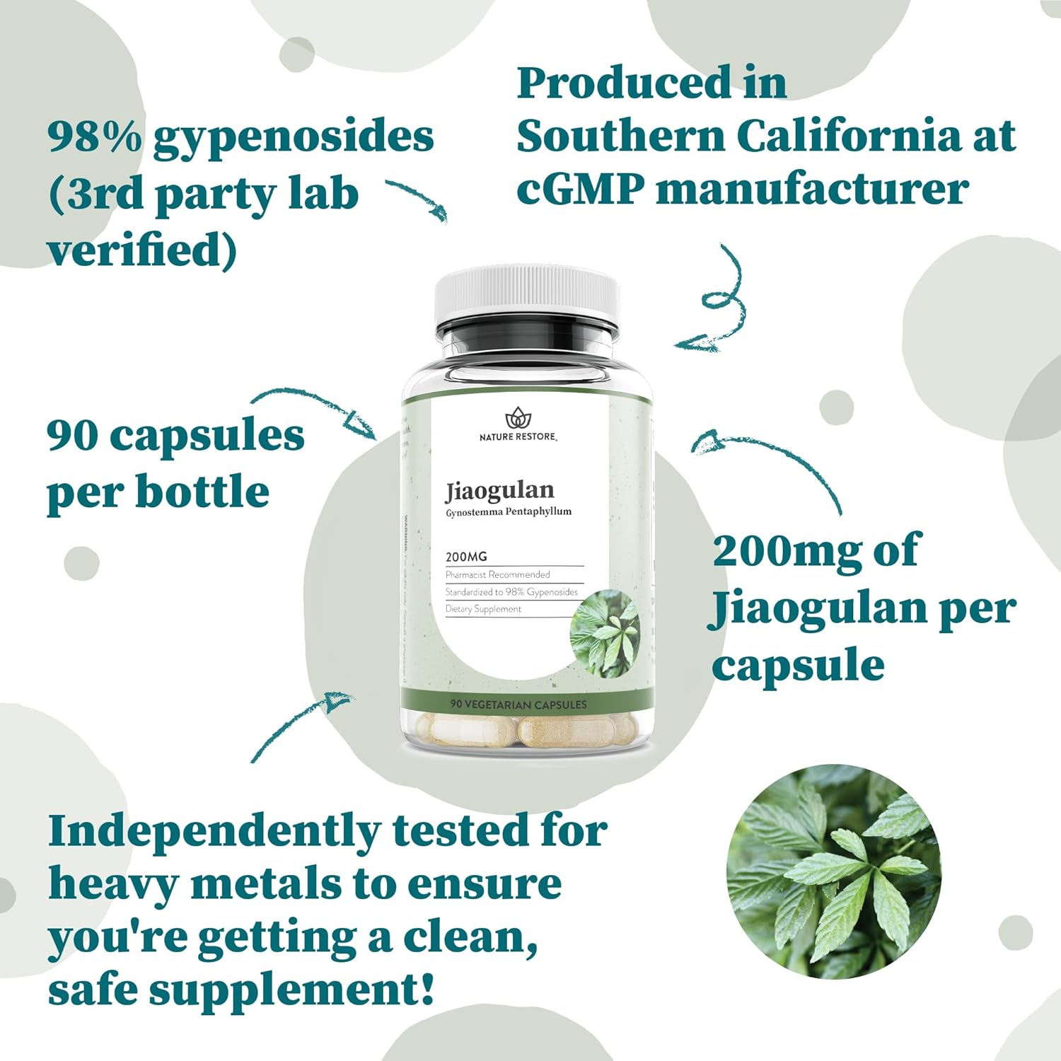 Jiaogulan Extract Supplement, Our Gynostemma Pentaphyllum is Standardized to 98 Percent Gypenosides, Natural AMPK Activator, Non GMO, Gluten Free, 90 Gynostemma Capsules, Vegan