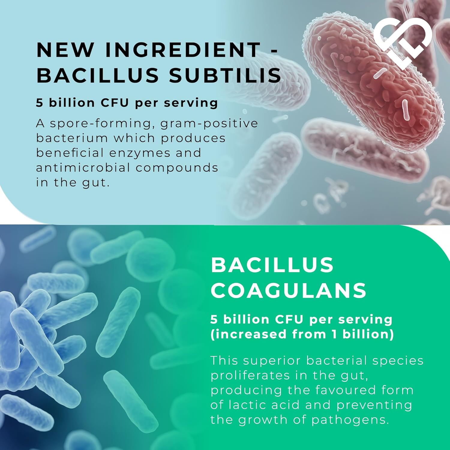 MultiSpore® Plus (Bacillus Coagulans & Bacillus Subtilis) Spore Based Probiotic | 120 Capsules - 4 Month Supply | Bloating Relief/Gut Health | Includes Digestive Enzymes & Prebiotic Inulin | UK Made