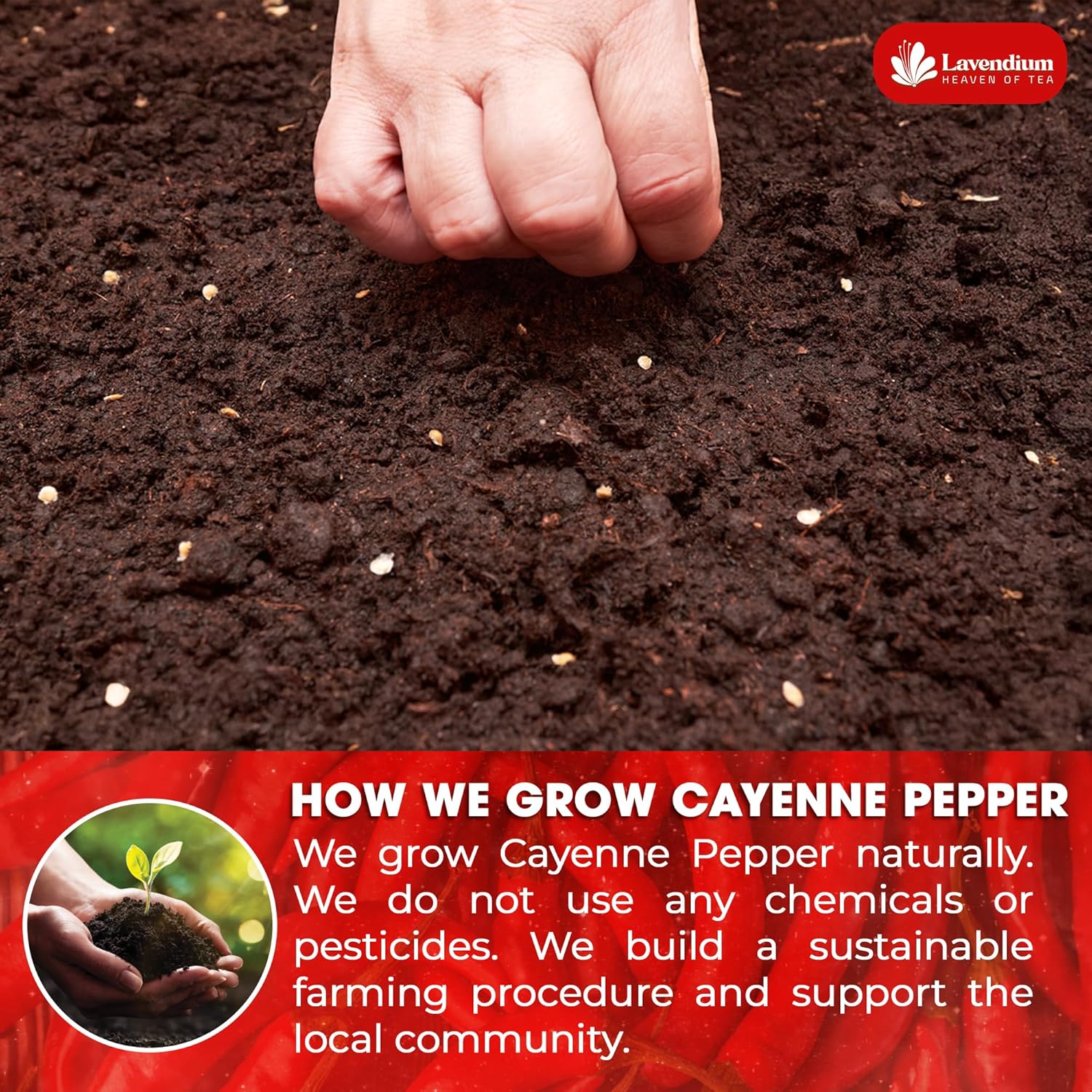 Lavendium, Premium 1.56 lbs Cayenne Pepper Powder– Pure Ground Red Pepper, Bold and Spicy Flavor