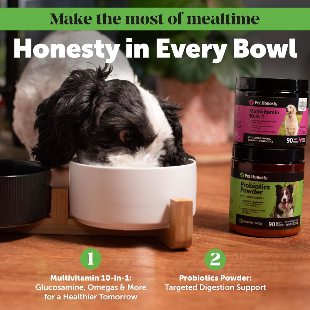 All-Natural Probiotic & Pumpkin Powder Dog Supplement - Prebiotics, Probiotics, Enzymes & Antioxidants for Healthy Gut Flora, Digestion & Immunity (90 Scoops)