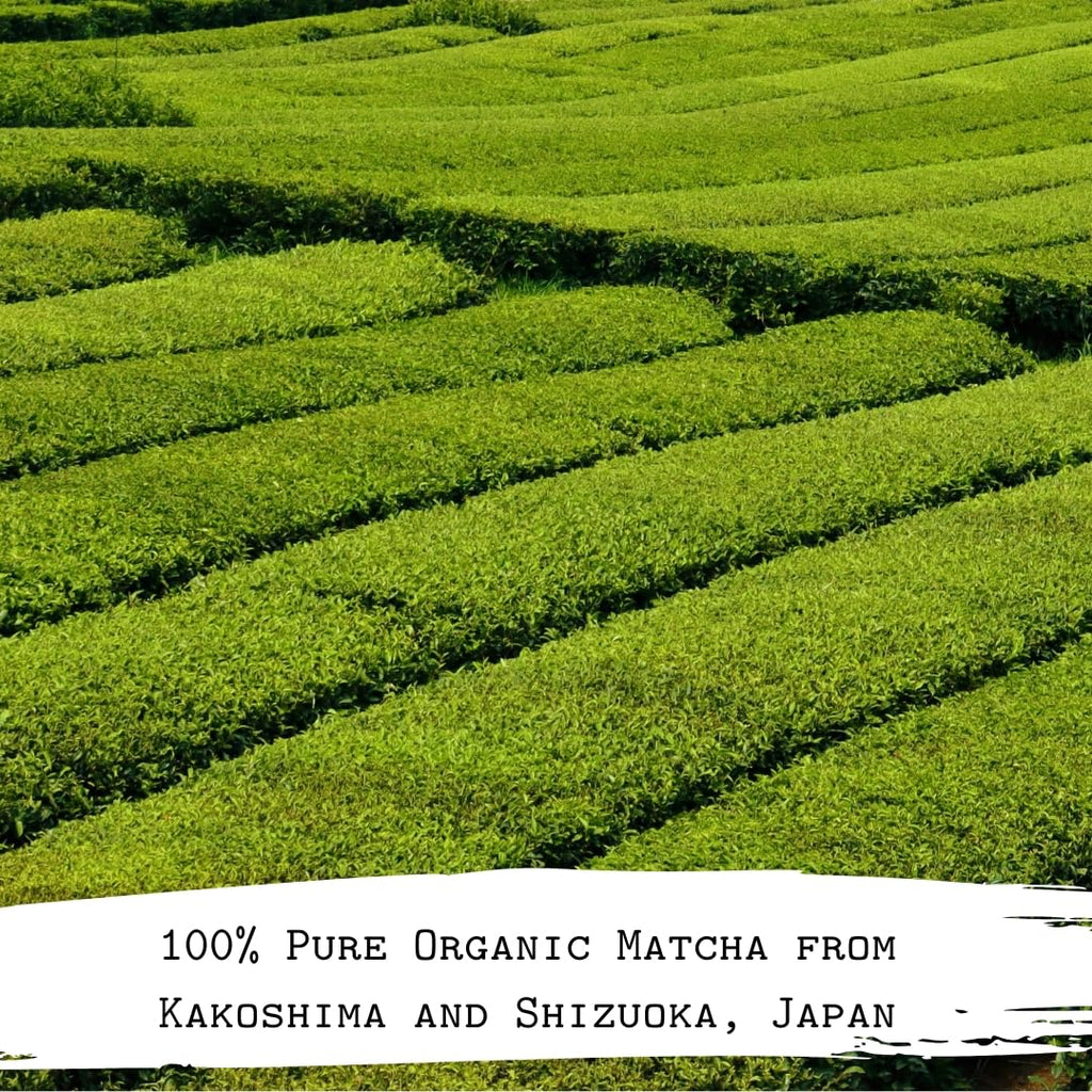 The Matcha Tribe Organic Ceremonial Grade Matcha Powder – Matcha Green Tea for Lattes | First-Harvest Stone-Ground Japanese Matcha Tea from Uji & Kagoshima, Japan | 30g Tin