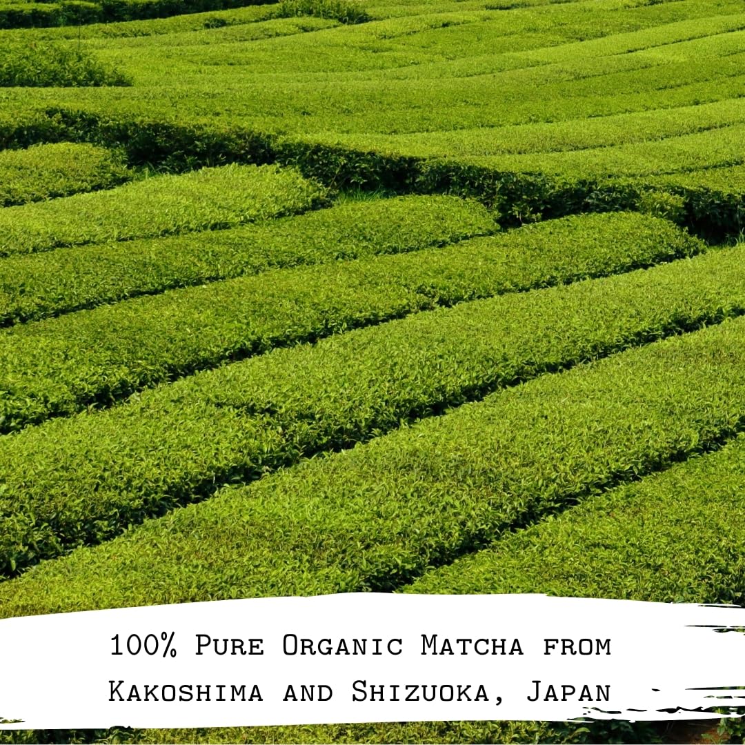 The Matcha Tribe Organic Ceremonial Grade Matcha Powder – Matcha Green Tea for Lattes | First-Harvest Stone-Ground Japanese Matcha Tea from Uji & Kagoshima, Japan | 30g Tin