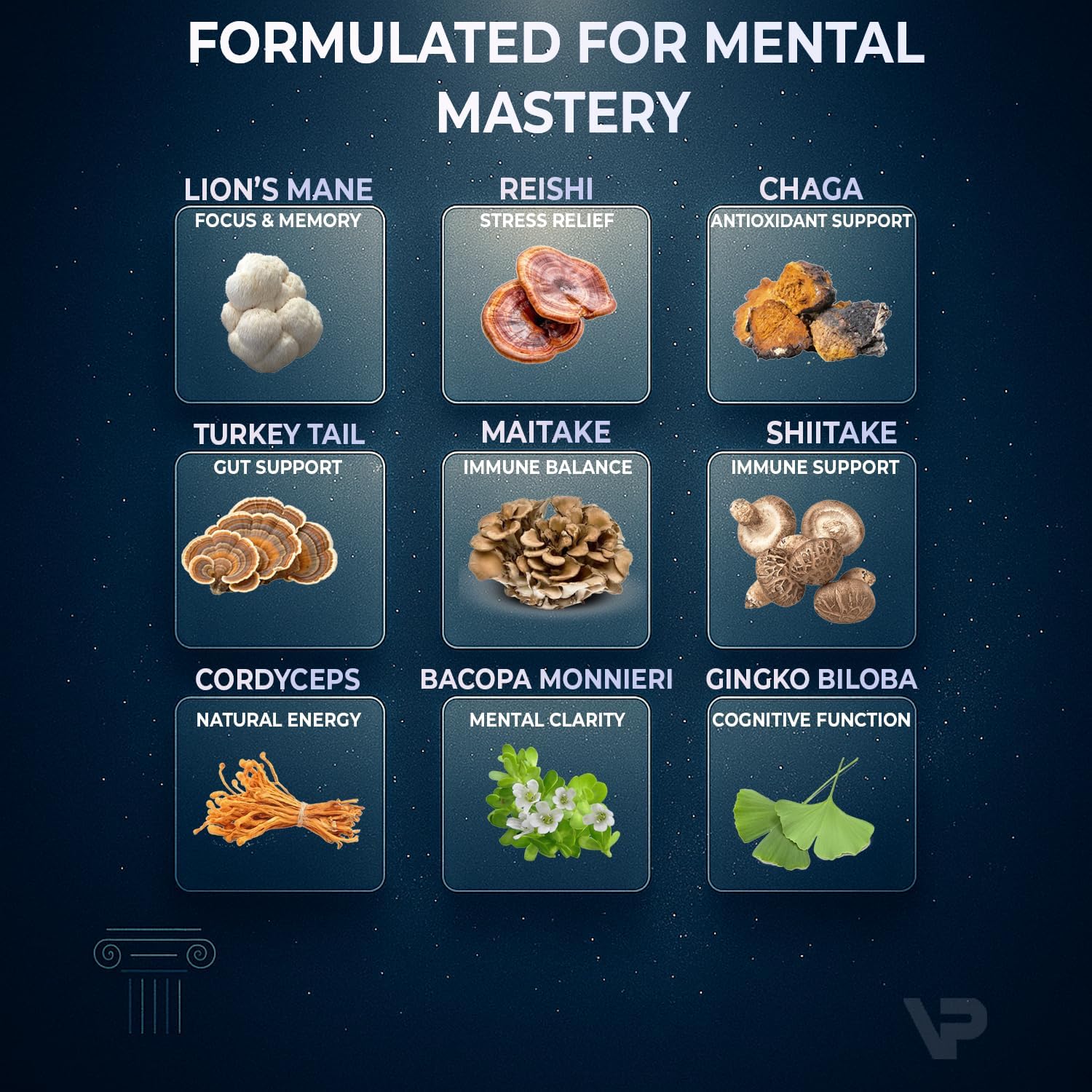 9-In-1 Nootropic Mushroom Gummies | With Lion's Mane, Reishi, Chaga, & More | Enhanced with Bacopa Monnieri & Gingko Biloba | For Focus & Memory | 90 Ct | Sugar Free & Vegan | for Men and Women