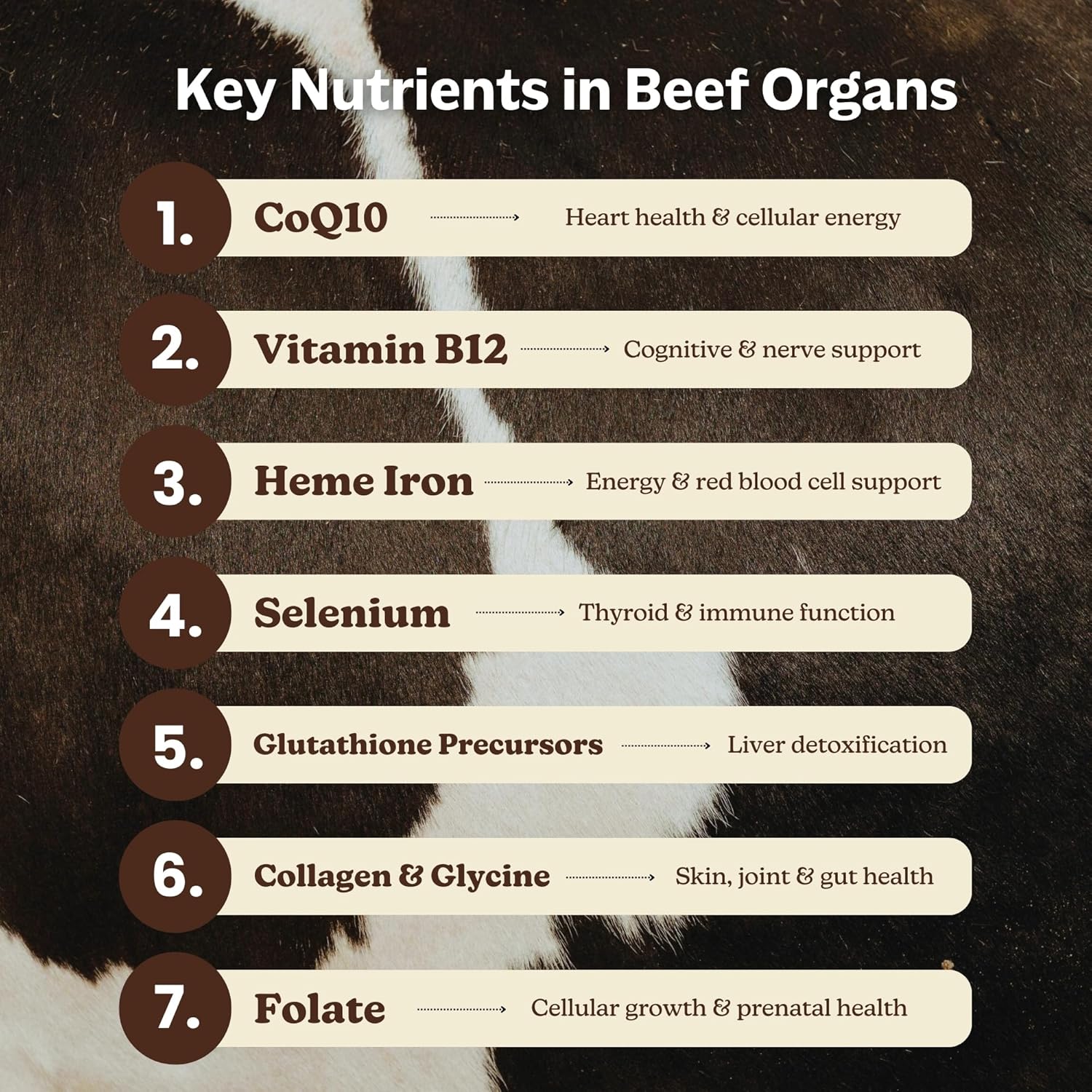 MK Supplements – Grass-Fed Beef Organs 3000 mg, 180 Beef Organs Capsules, Multivitamin, 100% Pasture-Raised in New Zealand, 45-Day Supply, Liver, Heart, Kidney, Spleen, Pancreas