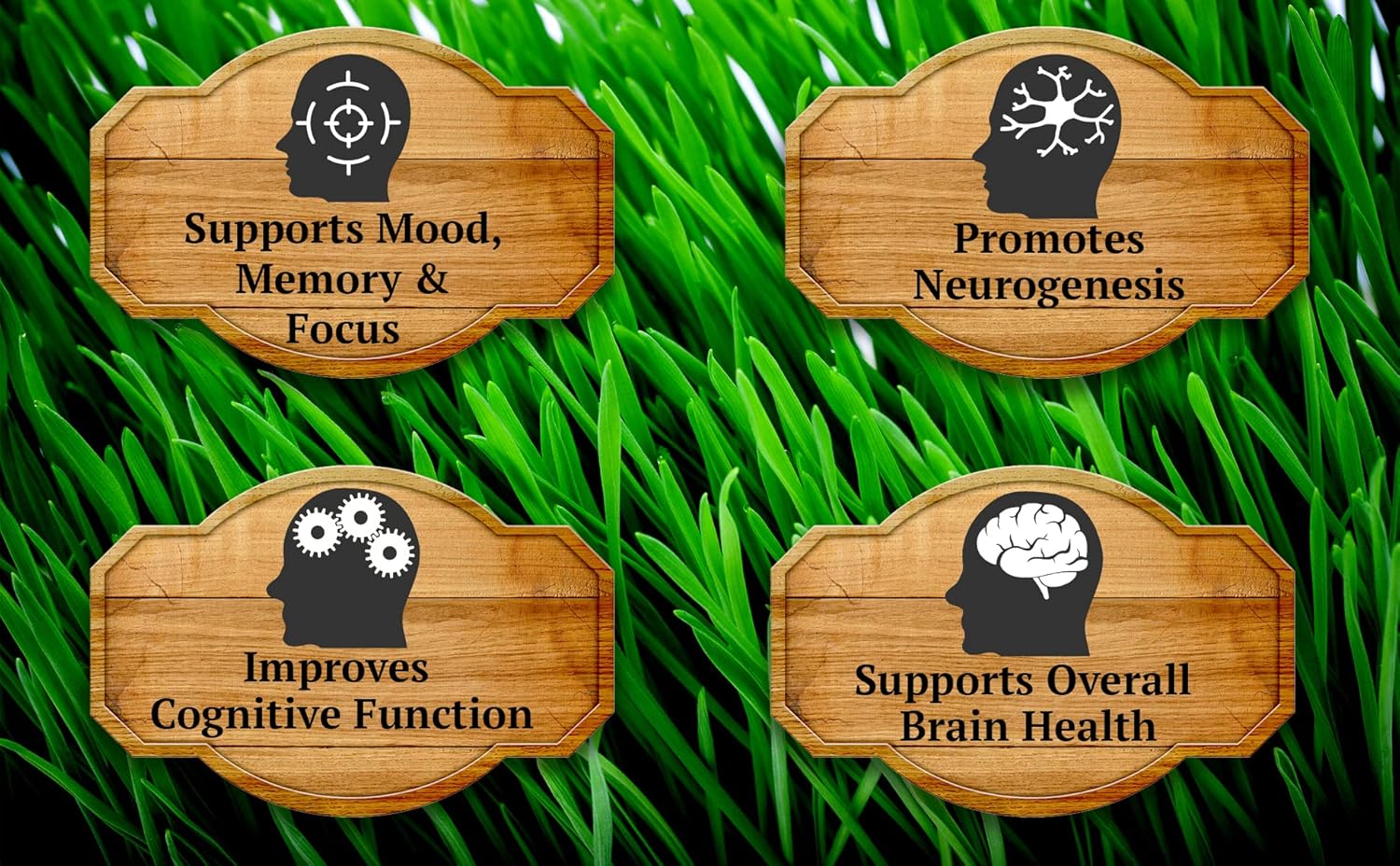 Primal Being Grassfed Beef Brain, Supports Memory, Mood, Focus, Energy, Cognitive Health - 90 Capsules, 1500mg per Serving