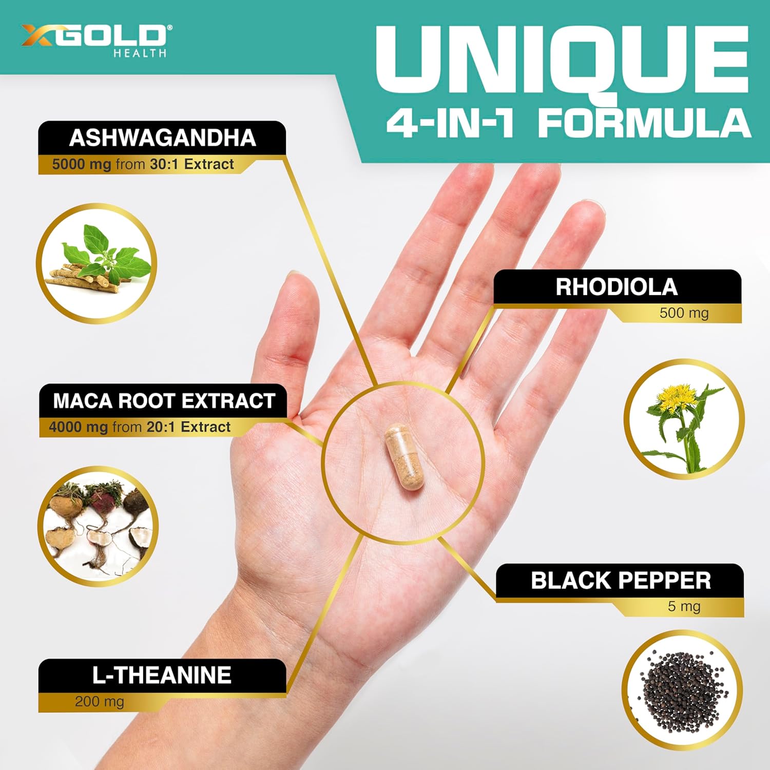 Ashwagandha 5,000mg + Maca Root Black, Red, Yellow 4,000mg, Rhodiola & L-Theanine: 30:1 Extract Ashwagandha Capsules, 20:1 Extract Maca Root Capsules - Supplement for Men and Women