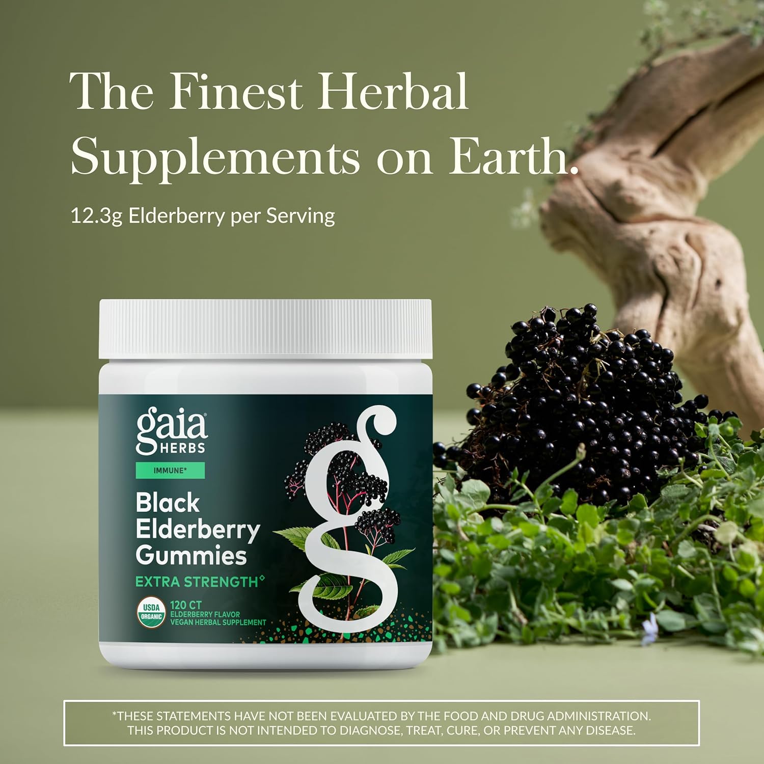 Gaia Herbs Black Elderberry (Sambucus Nigra) Extra Strength Gummies - Delicious Immune Support Supplement - Made with Certified Organic Black Elderberries for Immune System Support - 120 Gummies