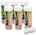 Drinklits Ginger Lime Electrolyte Fizzy Hydration Tablets (6) Tube Bundle | 0g Sugar - Natural Sports Drink - Organic Ginger | 60 Servings - 10 Tablets Per Tube