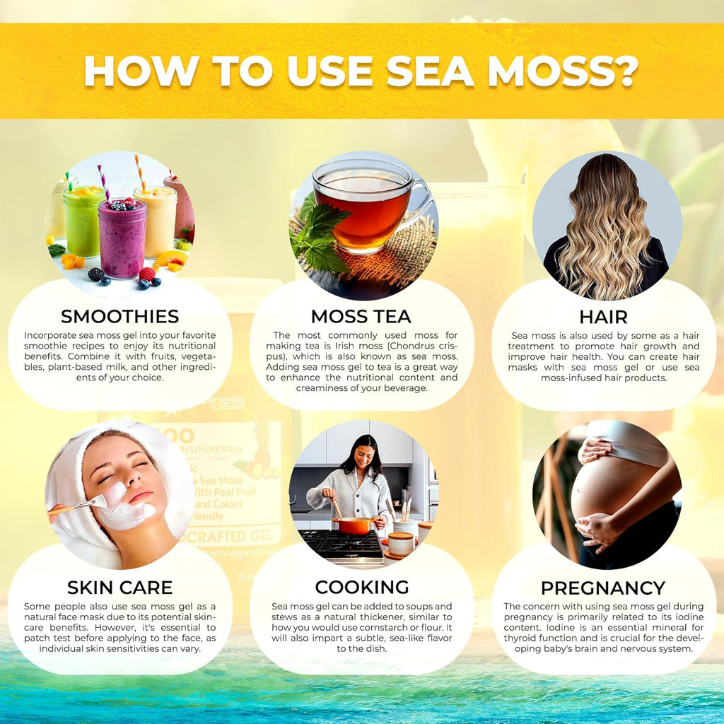 Irish Sea Moss Gel Raw - Wildcrafted Superfood Seamoss Gel - Pineapple Flavor, Vitamin and Mineral-Rich from Pristine Caribbean Waters, Immune and Digestive Health Support - 10 oz.