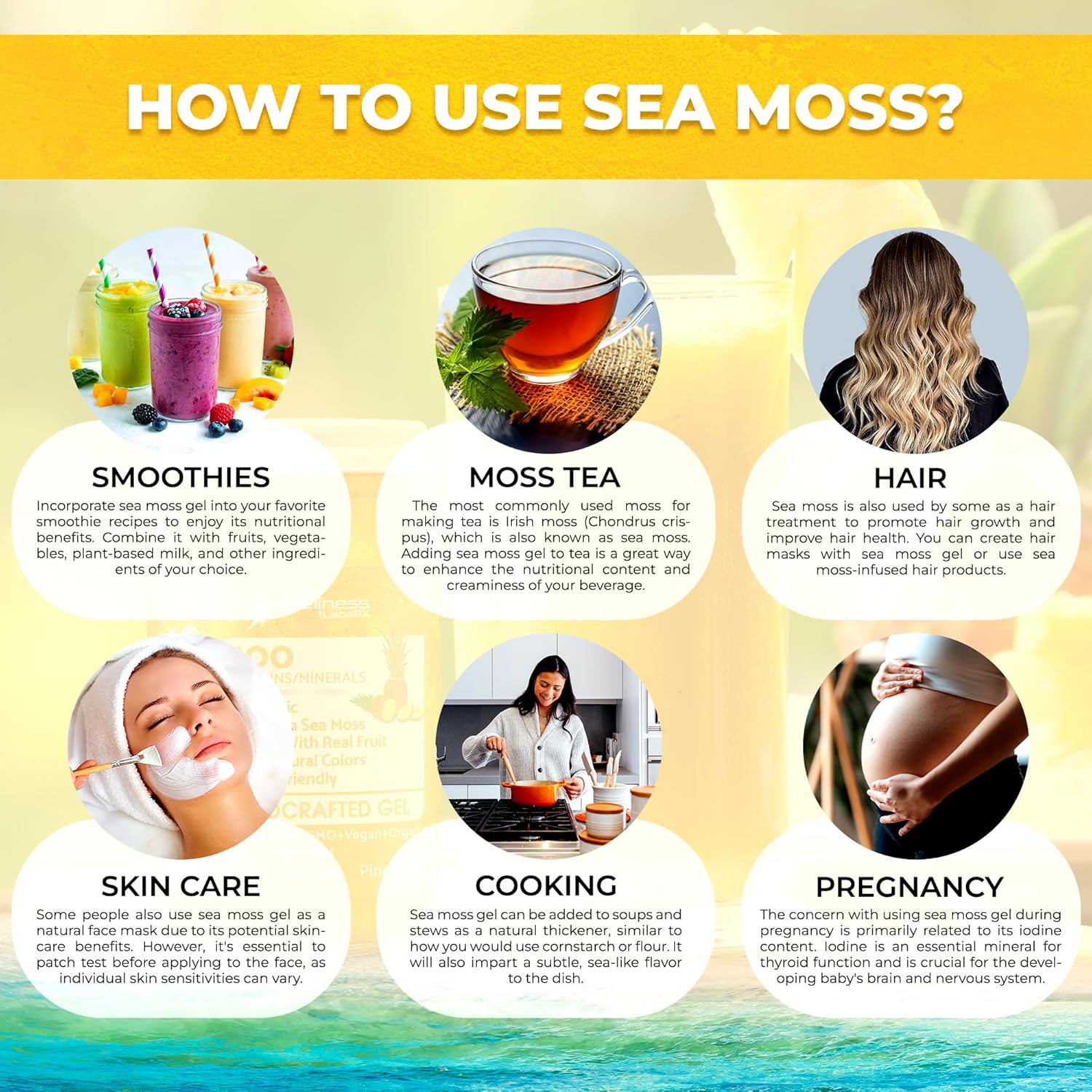 Irish Sea Moss Gel Raw - Wildcrafted Superfood Seamoss Gel - Pineapple Flavor, Vitamin and Mineral-Rich from Pristine Caribbean Waters, Immune and Digestive Health Support - 10 oz.