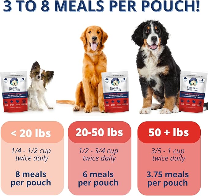 Under the Weather Bland Diet for Dogs | Easy to Digest Stomach Support for Sick Dogs | Contains Electrolytes, All Natural | 1 Pack - Turkey, Oatmeal, Sweet Potato & Slippery Elm - 6oz