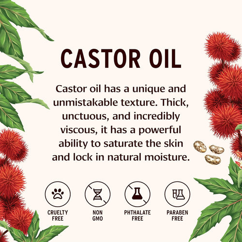 Banyan Botanicals Organic Castor Oil – Pure and Refined Castor Oil – for Face and Skin Care, Hair Care, and Natural Beauty – 8 oz – Non GMO, Hexane Free, Vegan, and Cruelty Free