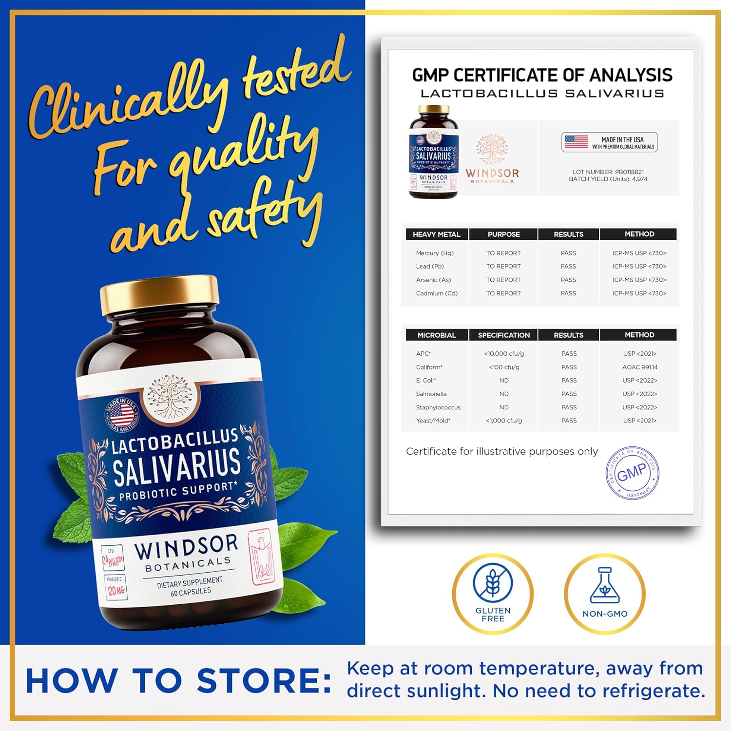 WINDSOR BOTANICALS Lactobacillus Salivarius Probiotic Capsules - L Salivarius Probiotic Oral Dental Probiotics for Bad Breath, Teeth and Gums Health and Immune Support - 24bn CFU, 2-Pack 120 Caps