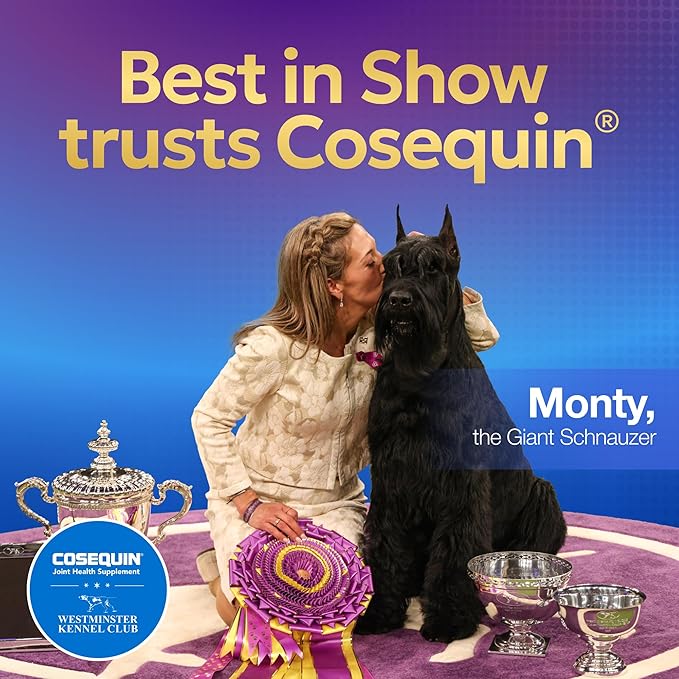 Nutramax Cosequin for Senior Dogs Joint Health Supplement, Contains Glucosamine for Dogs, Chondroitin, MSM, Omega-3s and Beta-Glucan, Supports Joint, Skin and Coat, Immune Health, Soft Chews, 60 Count