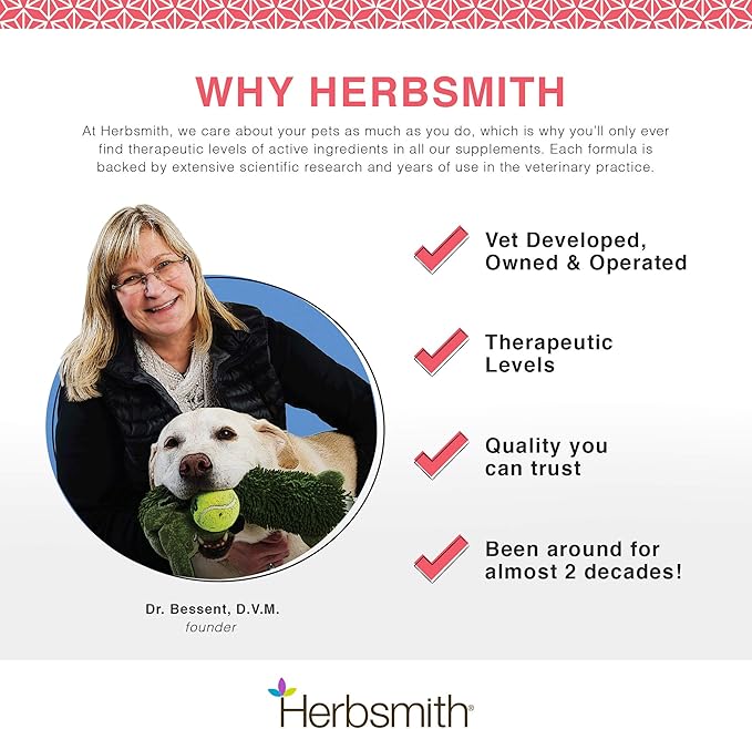 Herbsmith Senior Dog Wisdom – Dog Dementia Supplement – DHA for Senior Dog Brain Health - Senior Supplement for Dogs- 60ct Small Chews