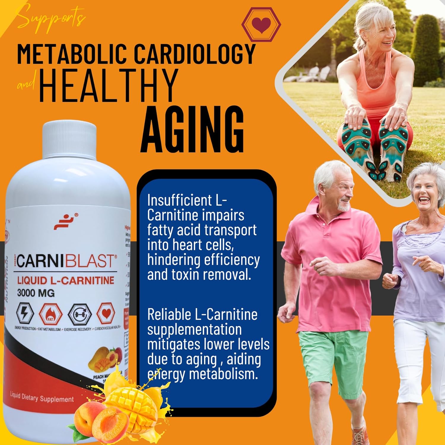 CARNIBLAST Liquid L-Carnitine 3000mg – Carnipure® Sports Nutrition Supplement for Energy, Stamina & Workout Recovery – Peach Mango Flavor, 16 Fl Oz, Vegan, Gluten-Free, Non-GMO
