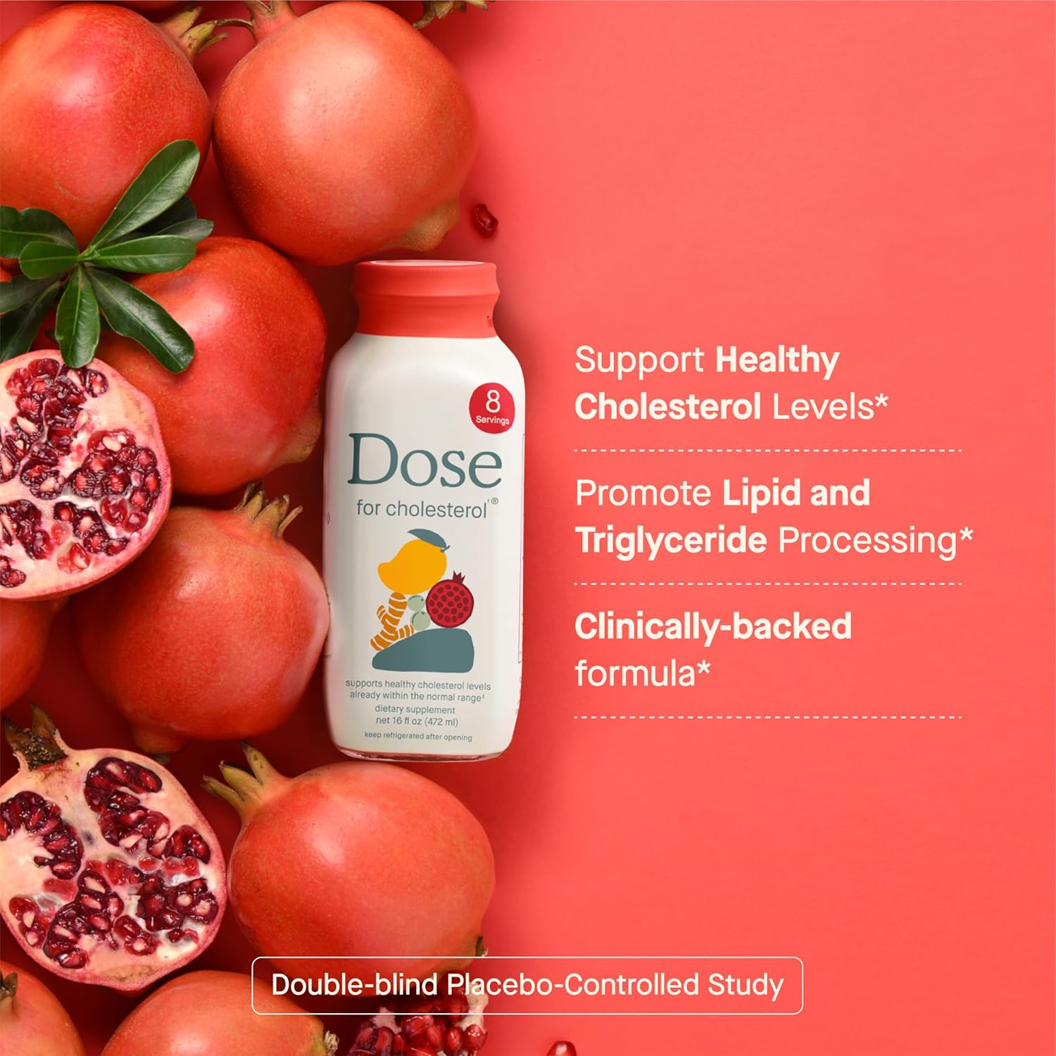 for Cholesterol Supplements Maintain Healthy Cholesterol Levels and Supports Cardiovascular Health Gluten-Free Vegan Zero Sugar, 16oz Bottle, 6 Pack (6 Week Supply)