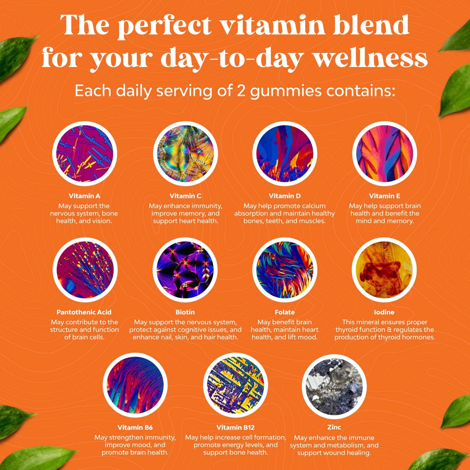 Potent Daily Multivitamin Gummies for Adults - Wellness Blend of Vitamin D A C E B12 Zinc and Biotin - Adult Vitamin Gummy for Energy and Immunity - Non-GMO Gluten Free and Halal Gummies 30 Count