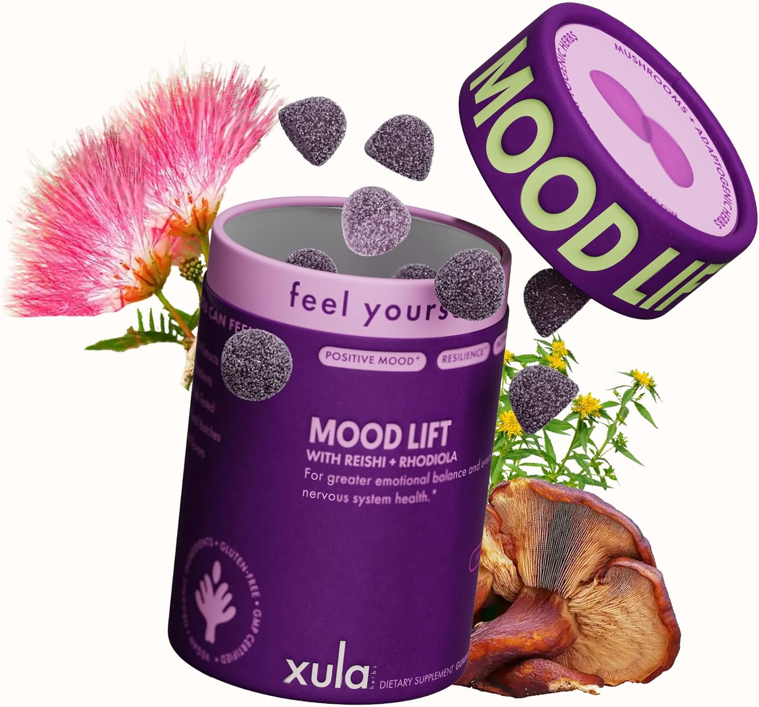 Mood Lift Gummies – Rhodiola, Reishi & Adaptogen Blend – Serotonin & Dopamine Mood Booster for Stress Relief, Motivation & Emotional Balance – Vegan, Non-GMO, Made in USA – 50 Extra-Strength Gummies