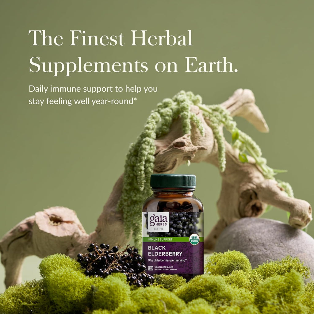 Gaia Herbs Black Elderberry - Daily Immune Support Supplement to Help Maintain Well-Being- with Black Elderberries and Acerola Fruit for Antioxidant Support - 120 Vegan Capsules (60-Day Supply)